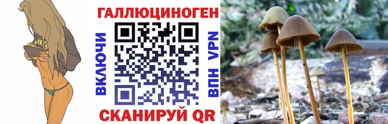 Галлюциногенные грибы MAGIC MUSHROOMS  Спас-Деменск 